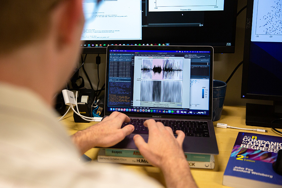 A researcher works on a computer model of sound waves.