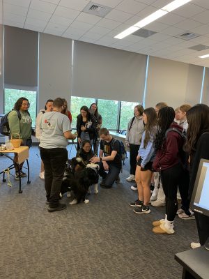 photos of students petting dog in aural rehab class