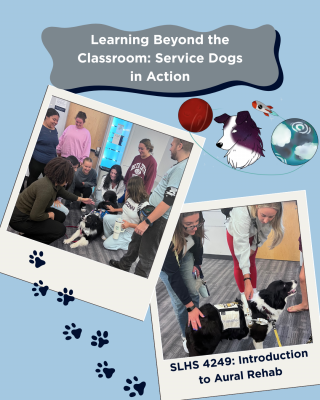 Undergraduate students in the Introduction to Aural Rehabilitation class interacting with service dogs from Cosmic Dog Training.